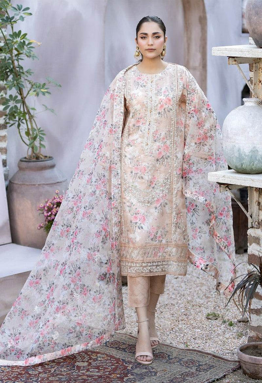 Mahiye By Noors Organza Semi Stitched 3pcs - Jotey