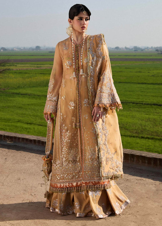Hussain Rehar Darlings Festive'25 Unstitched Collection - Jotey