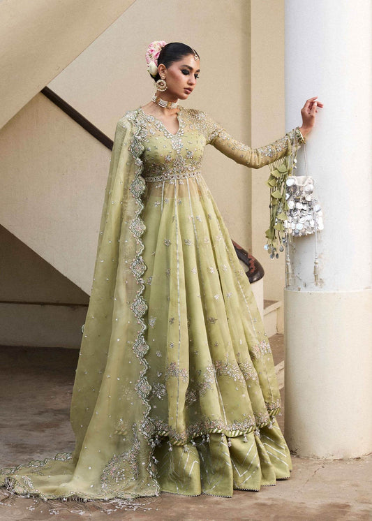Hussain Rehar Darlings Festive'25 Unstitched Collection - Jotey