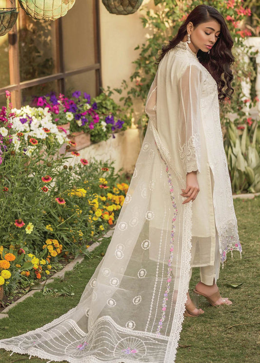 Nisa By Noors Luxury Semi Stitched 3Pcs - Jotey