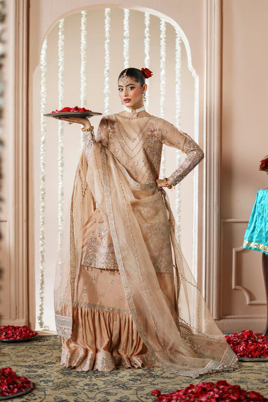 Dastoor By Zebtan Embroidered Luxury Organza Unstitched 3 Piece