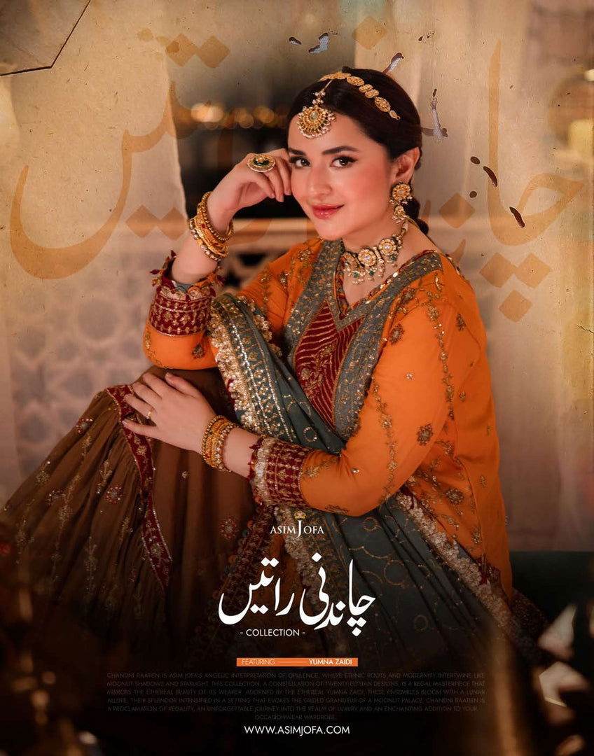 Asim Jofa Chandni Raatein