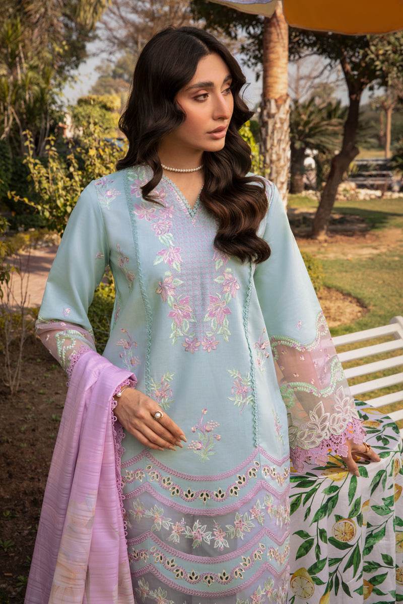 Rang Rasiya Florence Embroidered Lawn Unstitched 3pcs - Jotey