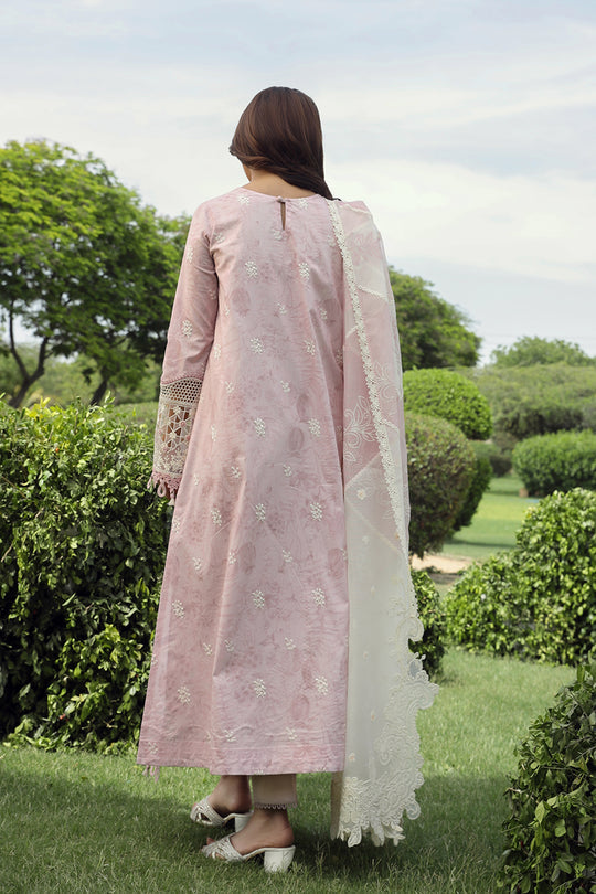 Qalamkar Festive Lawn Unstitched 3pcs - Jotey