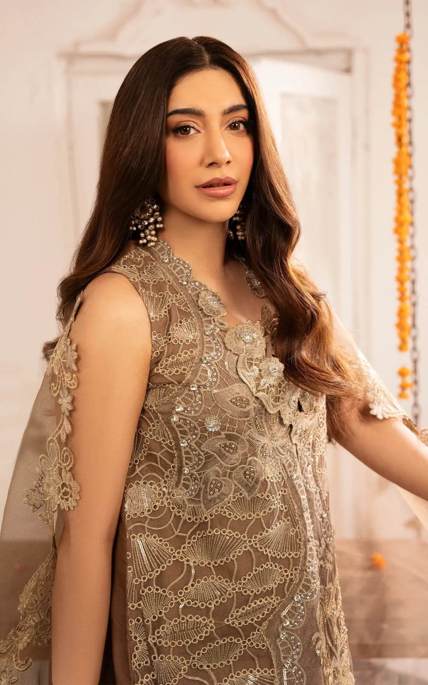 Eid Festive By Asifa And Nabeel Vol-01 Embroidered Zari Net Unstitched 3pcs - Jotey