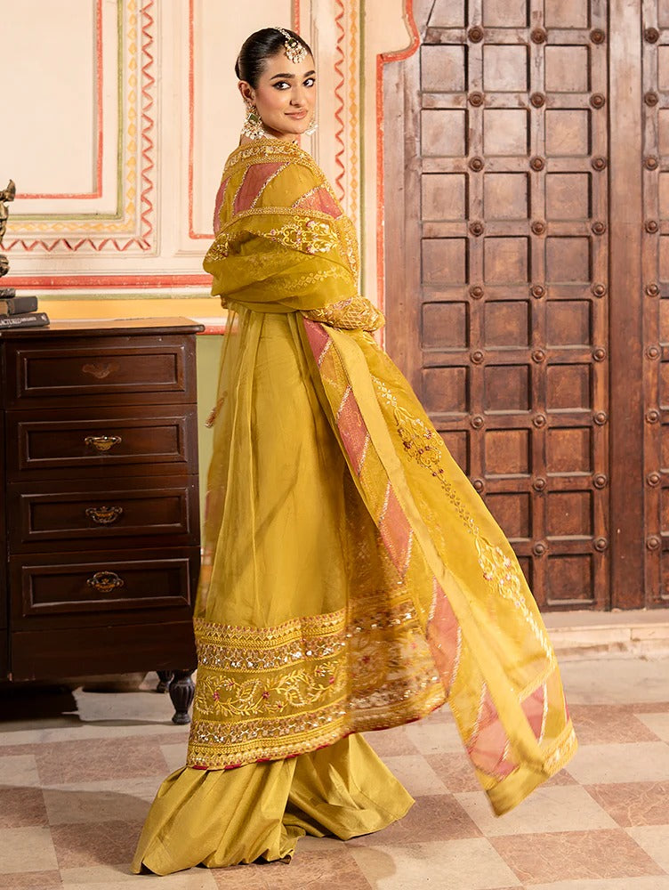 Rangreza by Zebtan Embroidered Organza Luxury Unstitched 3 Piece