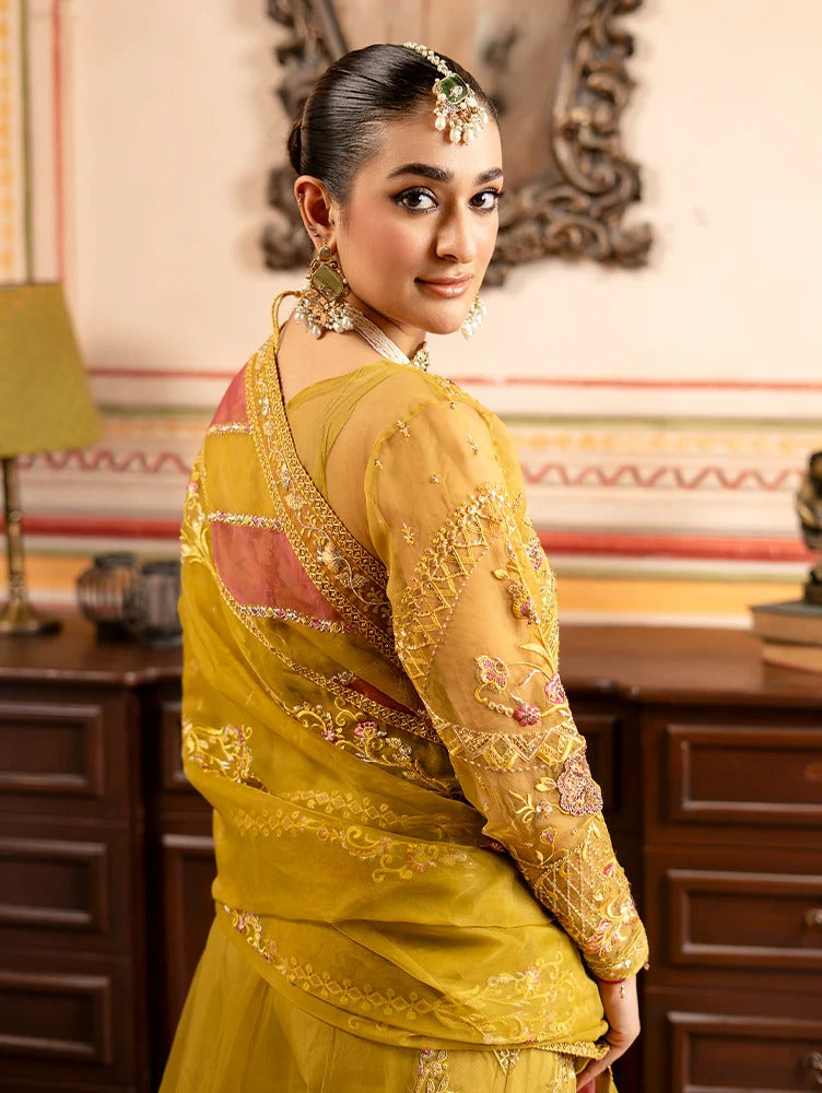 Rangreza by Zebtan Embroidered Organza Luxury Unstitched 3 Piece