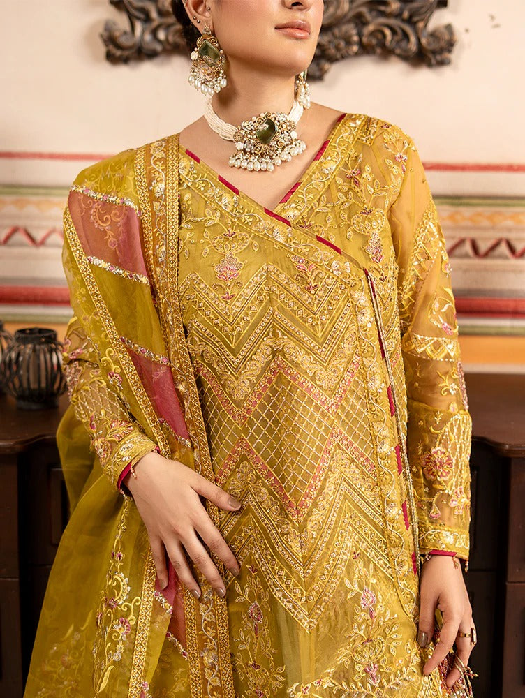 Rangreza by Zebtan Embroidered Organza Luxury Unstitched 3 Piece