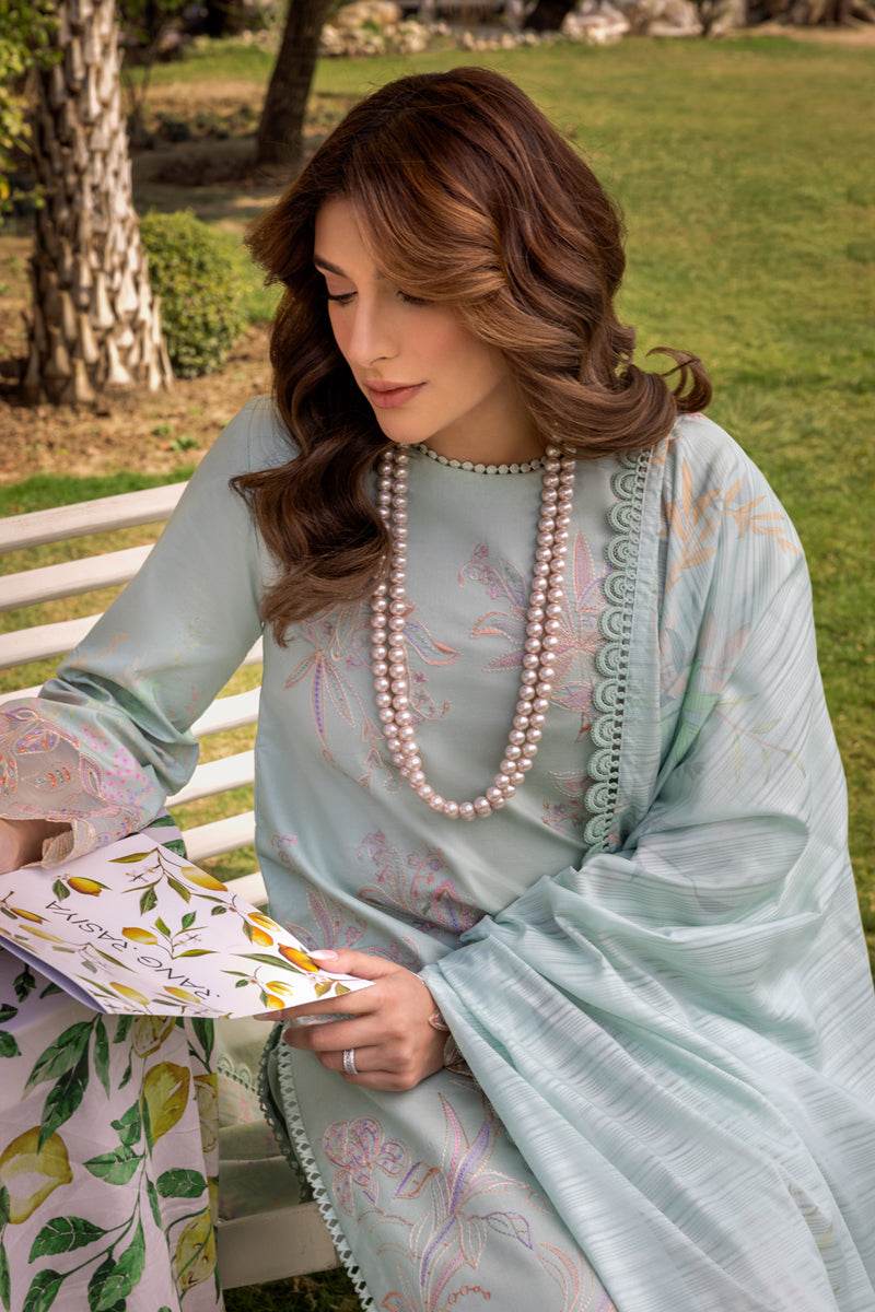 Rang Rasiya Florence Embroidered Lawn Unstitched 3pcs - Jotey