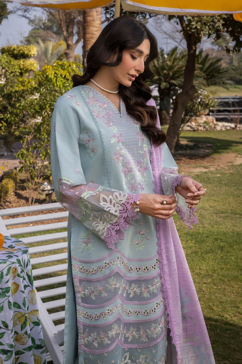Rang Rasiya Florence Embroidered Lawn Unstitched 3pcs - Jotey