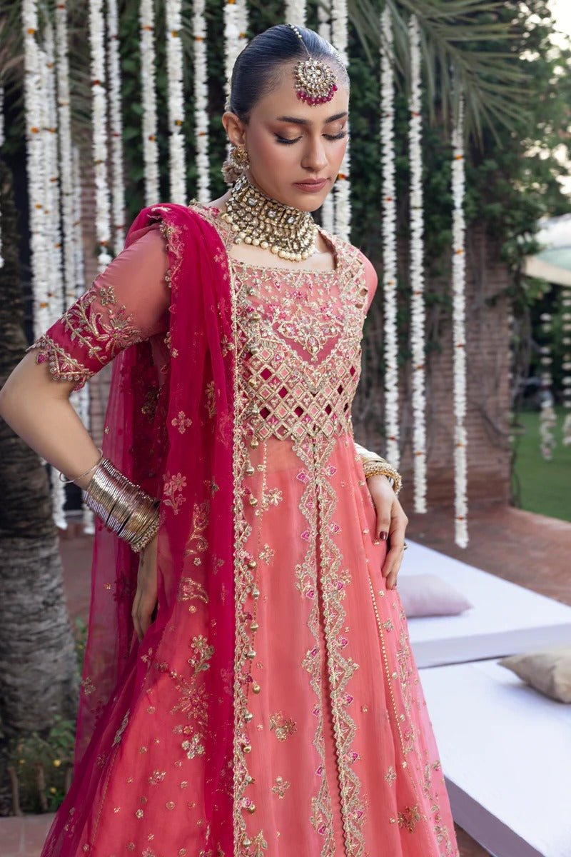 Rang Rasiya Wedding Formals'25 Embroidered Unstitched 3pcs