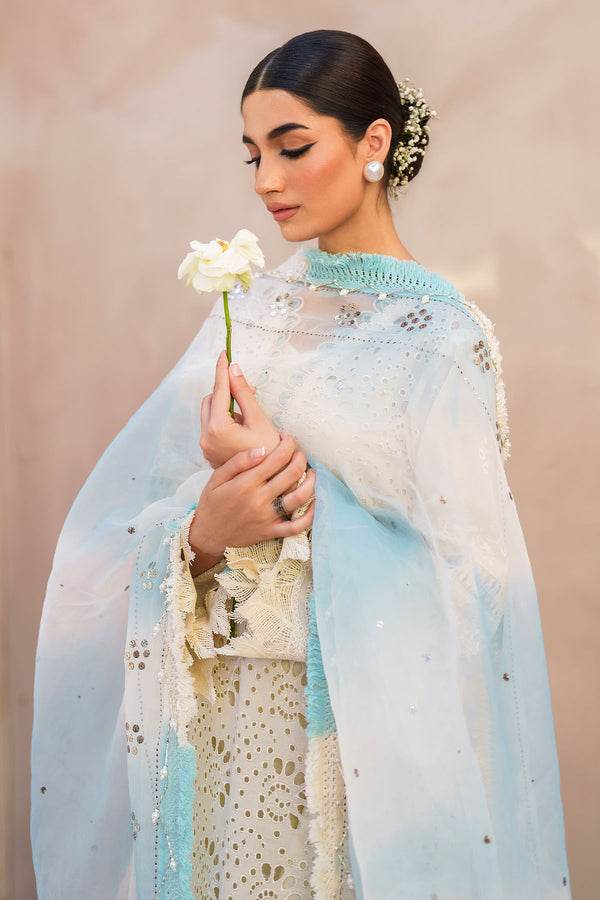 Nureh Dhoop Kinaray Embroidered Chikankari Lawn 3pcs - Jotey