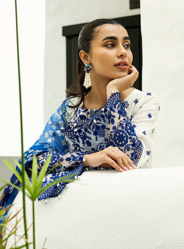 Zainab Chottani Chikankari'25 Unstitched Lawn 3pcs