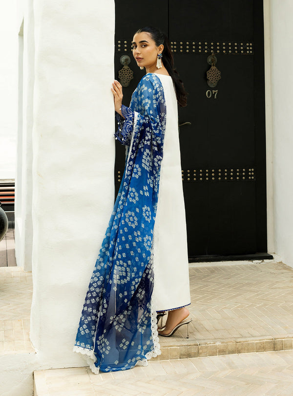 Zainab Chottani Chikankari'25 Unstitched Lawn 3pcs