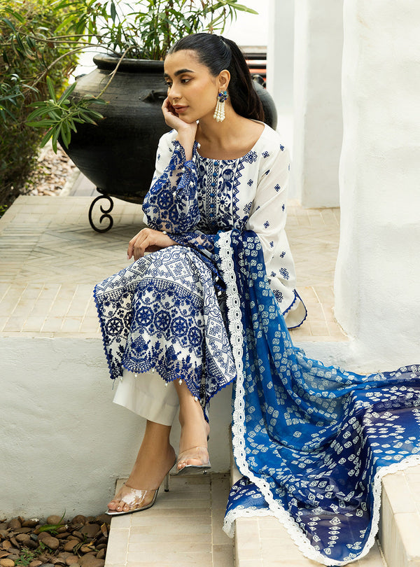 Zainab Chottani Chikankari'25 Unstitched Lawn 3pcs