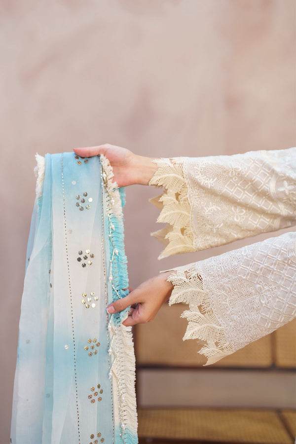 Nureh Dhoop Kinaray Embroidered Chikankari Lawn 3pcs - Jotey