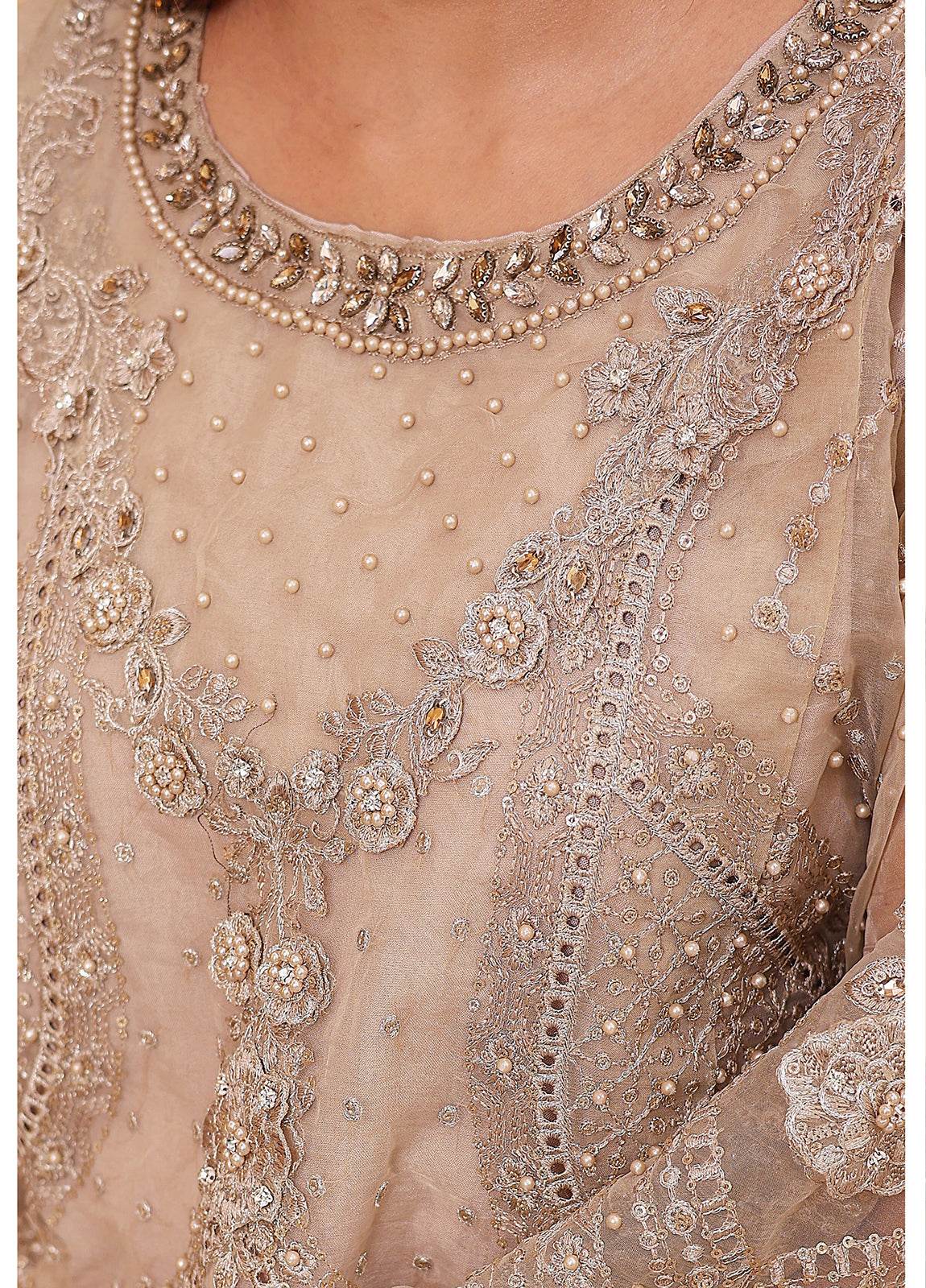 Raya By Hannan Fabrics Luxury Embroidered Chiffon Semi-Stitched 3pcs - Jotey