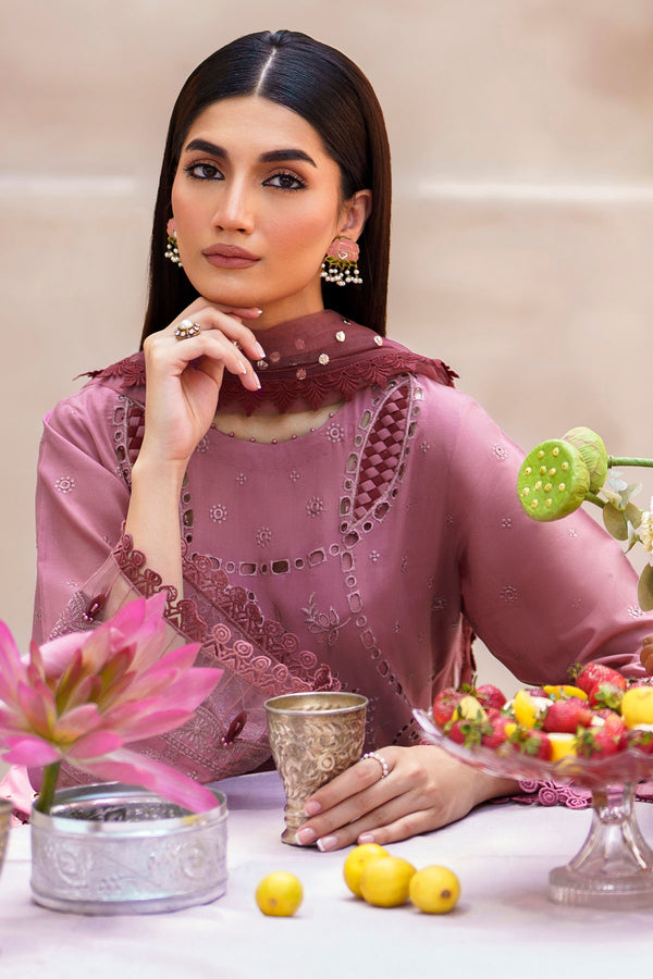 Nureh Dhoop Kinaray Embroidered Chikankari Lawn 3pcs - Jotey