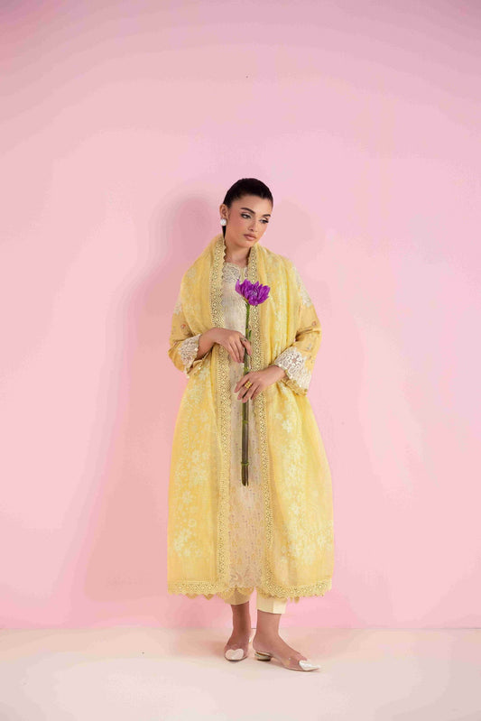 Aabyaan Eid Pret'25 Embroidered Stitched 3pcs - Jotey