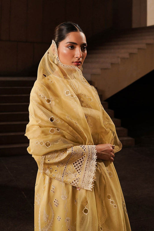 Afrozeh Festive Chikankari Embroidered Unstitched 3pcs - Jotey