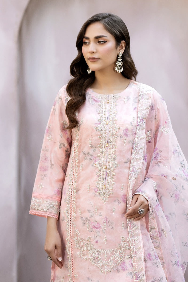 Mahiye By Noors Organza Semi Stitched 3pcs