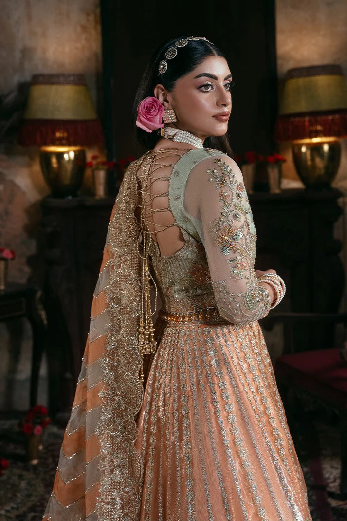 Noor-E-Naaz By Imrozia Embroidered Luxury Net Bridal Collection