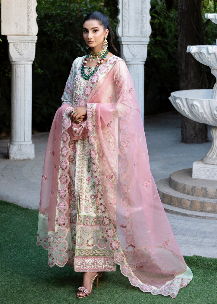 Rang E Noor Eid Edit Luxury Unstitched 3pcs - Jotey