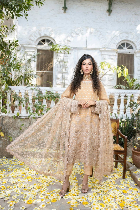 Meghna Semi Stitched Embroidered Luxury Collection - Jotey