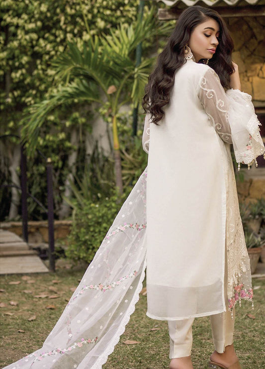 Nisa By Noors Luxury Semi Stitched 3Pcs - Jotey
