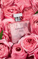 Ralph Lauren Romance Rose Perfume 30ml Jotey