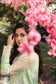 Sable V. Luxury Formal'25 Embroidered Unstitched 4pcs - Jotey