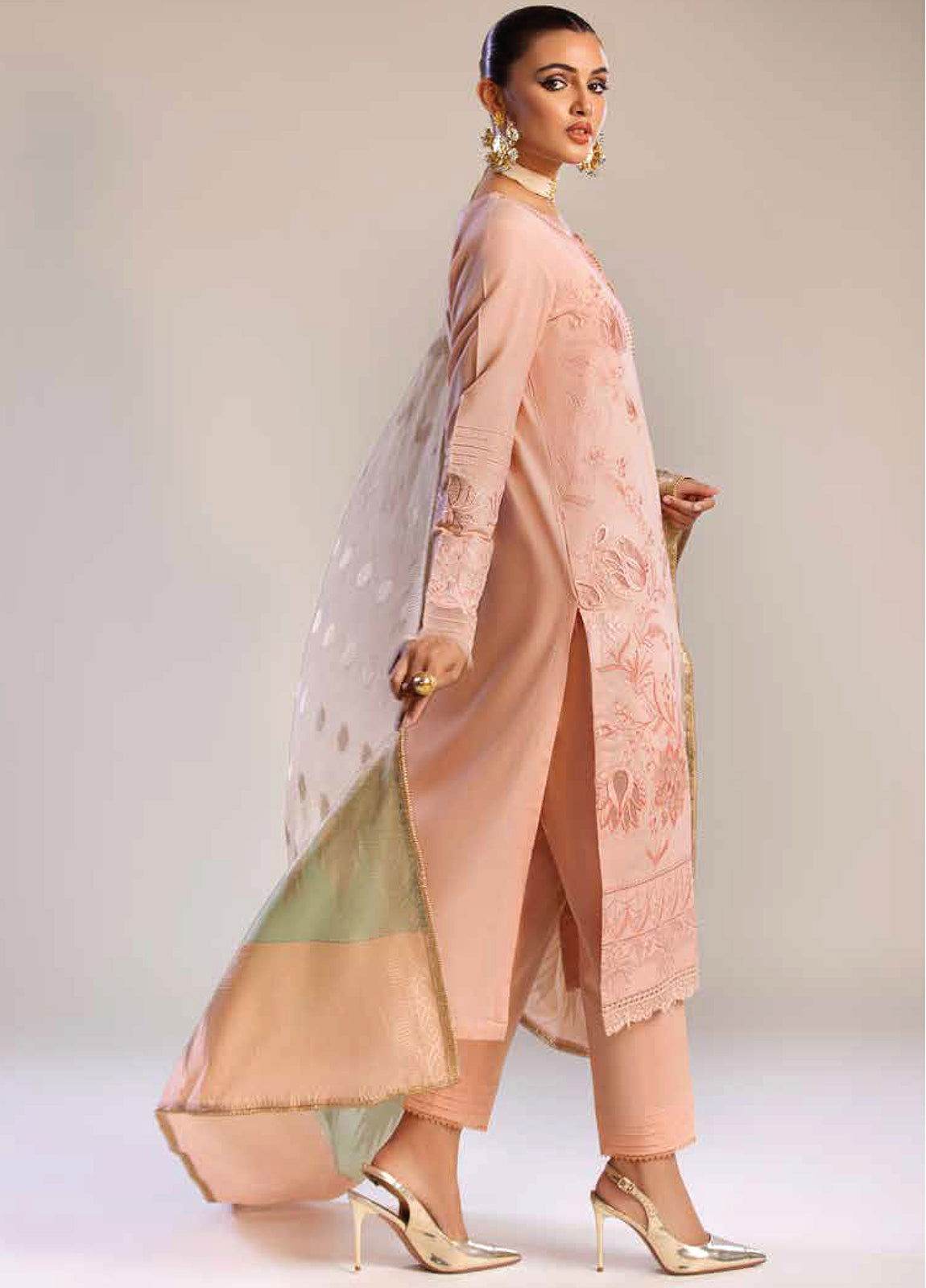 Tehzeeb By Riaz Arts Embroidered Chikankari Unstitched 3pcs - Jotey