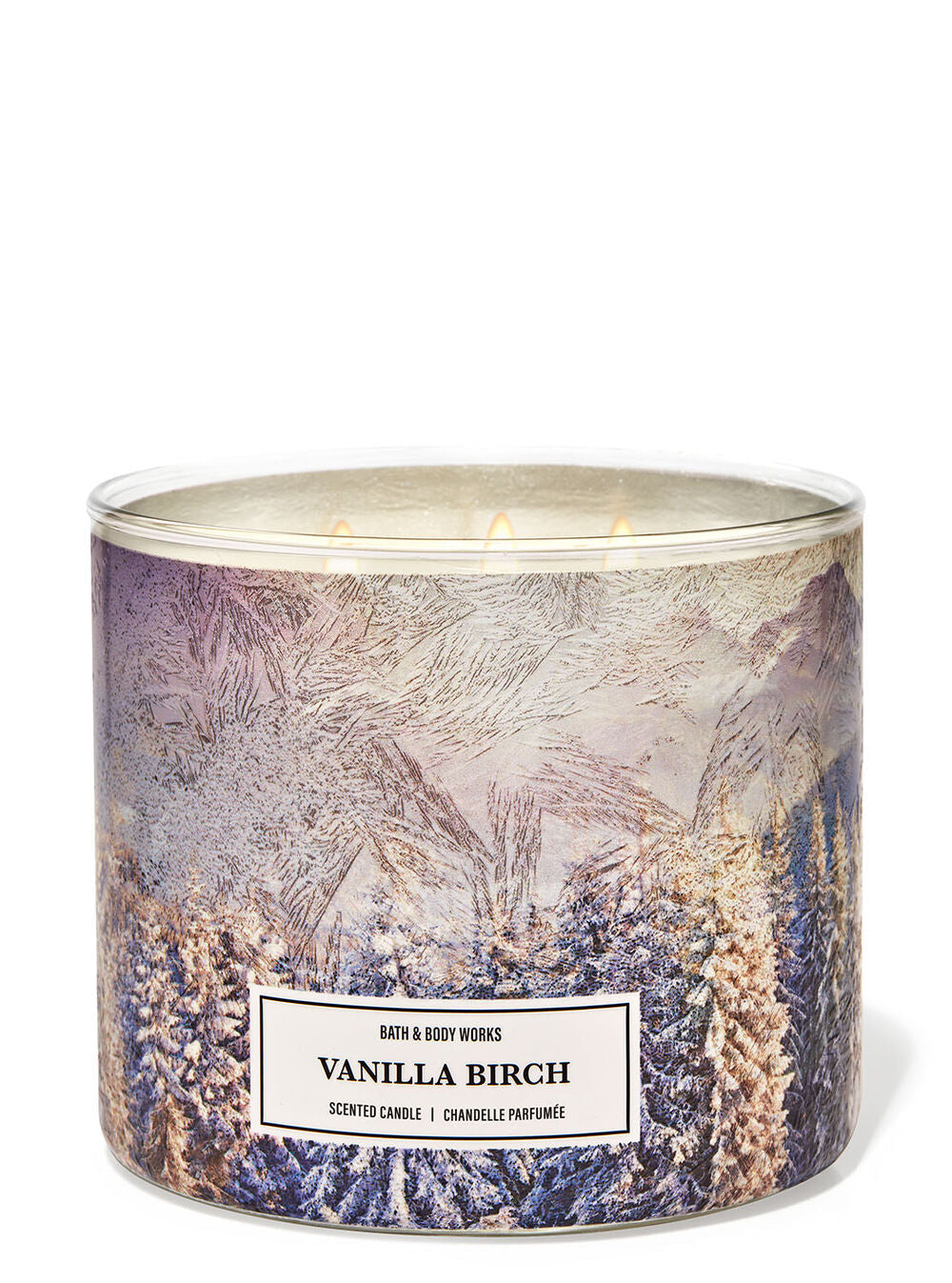 Vanilla Birch Bath & Body Works Candle Jotey