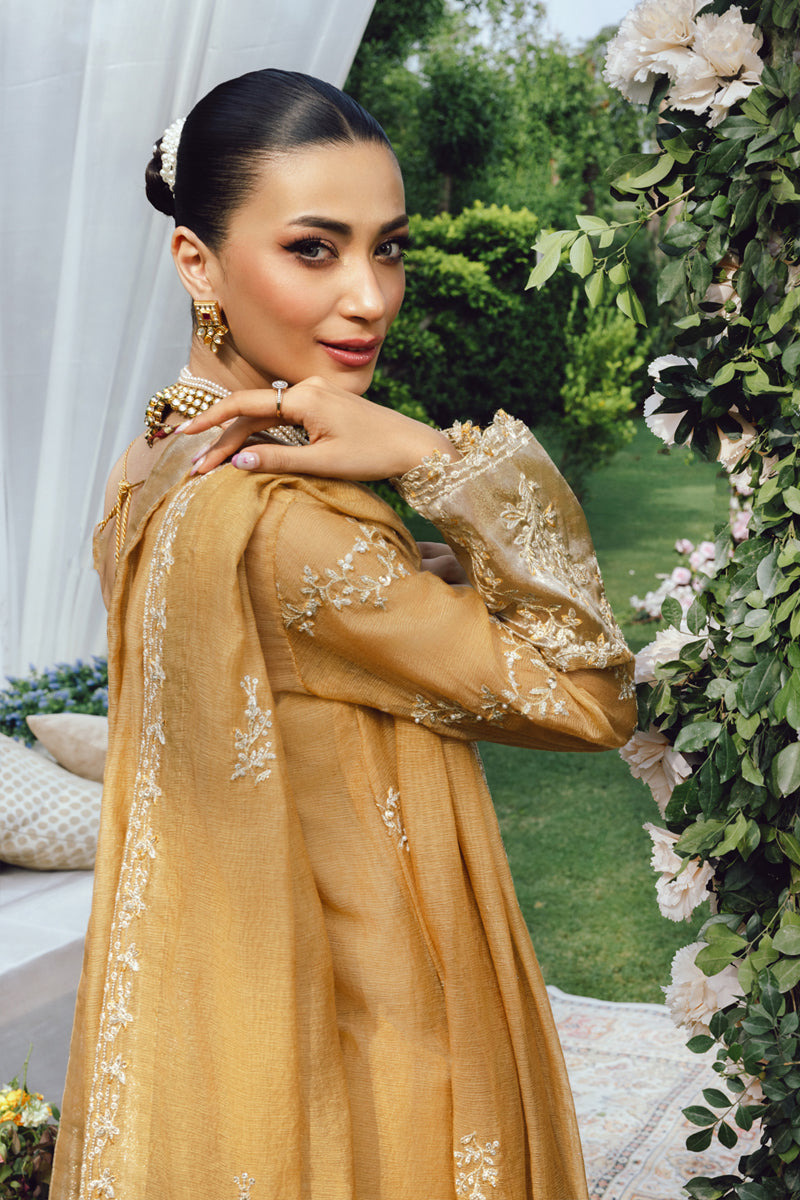 Rang Rasiya Wedding Formals'25 Embroidered Unstitched 3pcs